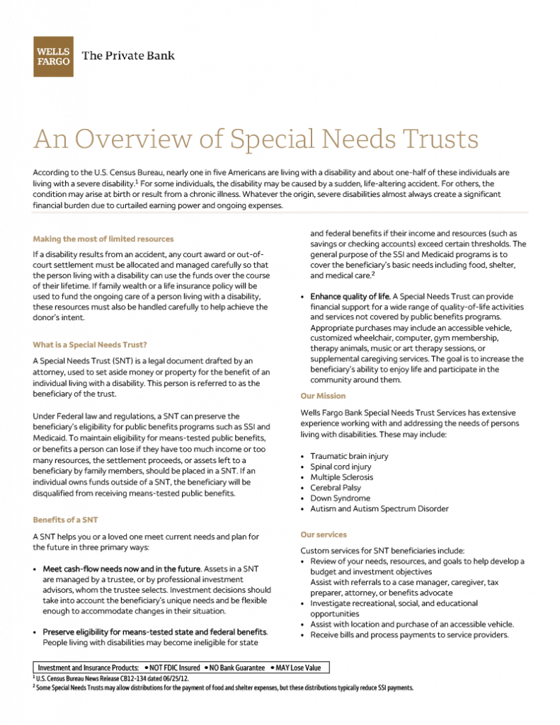Overview Special Needs Trust-1